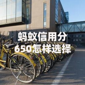蚂蚁信用分650怎样选择合适的借款期限？全面解析借款周期策略
