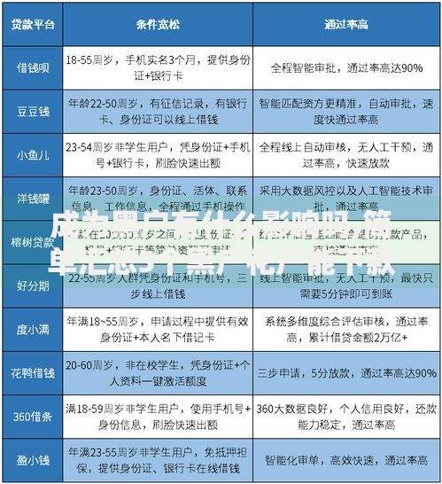 成为黑户有什么影响吗,简单汇总5个黑户花户能下款的平台