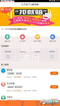 直接通过的小额贷款口子有哪些？快速放款平台解析