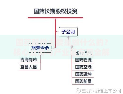 国药股份主要是做什么的？核心业务与产业链布局全解读