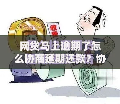 网贷马上逾期了怎么协商延期还款？协商技巧与流程解析
