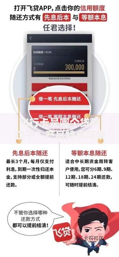 飞行卡是哪个贷款口子？产品特点与申请流程深度解析