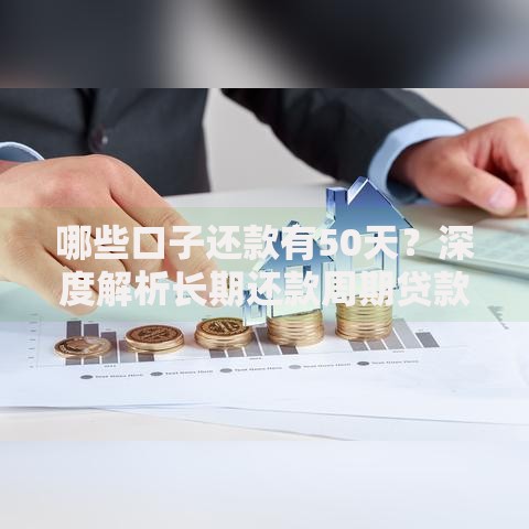 哪些口子还款有50天？深度解析长期还款周期贷款渠道