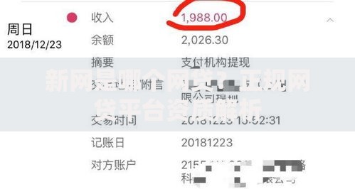 新网是哪个网贷？正规网贷平台资质解析