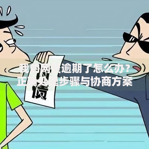 我的网贷逾期了怎么办?正确处理步骤与协商方案解析 我的网贷逾期了怎么办?正确处理步骤与协商方案解析