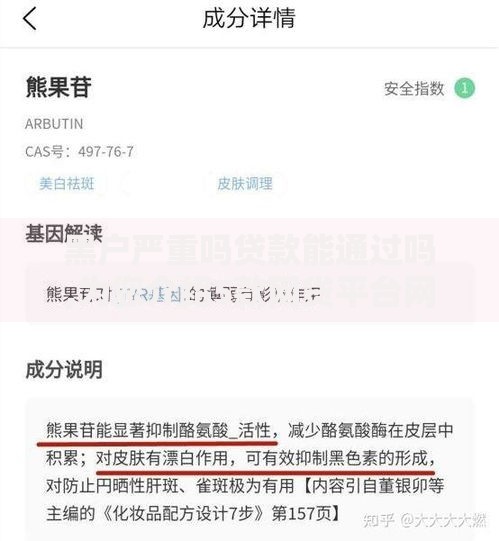 黑户严重吗贷款能通过吗,为您介绍5款网贷平台网贷怎么样
