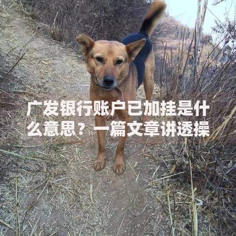 广发银行账户已加挂是什么意思？一篇文章讲透操作流程和常见问题