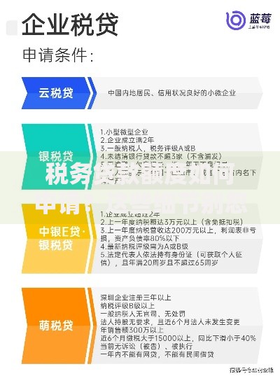 税务贷款额度如何申请？这些细节别忽略！
