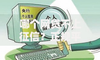 哪个网贷不上征信？正规平台选择与风险深度解析