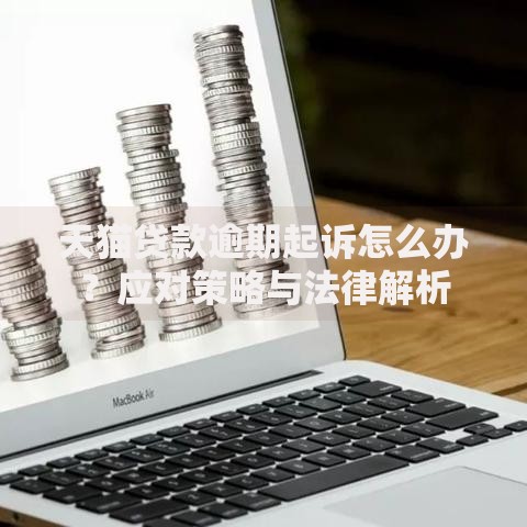 天猫贷款逾期起诉怎么办？应对策略与法律解析