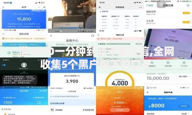 借3000一分钟到账不查征信,全网收集5个黑户包下的口子