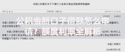 公积金新口子借款怎么申请？额度利率全解析