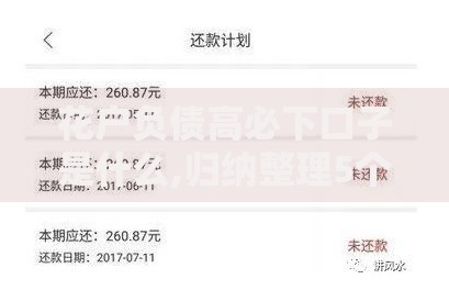 花户负债高必下口子是什么,归纳整理5个黑户有逾期平台能放款