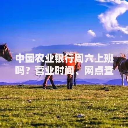 滴滴代驾不付钱上征信吗？贷款用户必知的信用风险解析