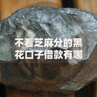 不看芝麻分的黑花口子借款有哪些申请条件