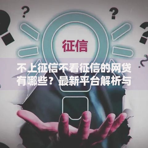 不上征信不看征信的网贷有哪些？最新平台解析与风险提示