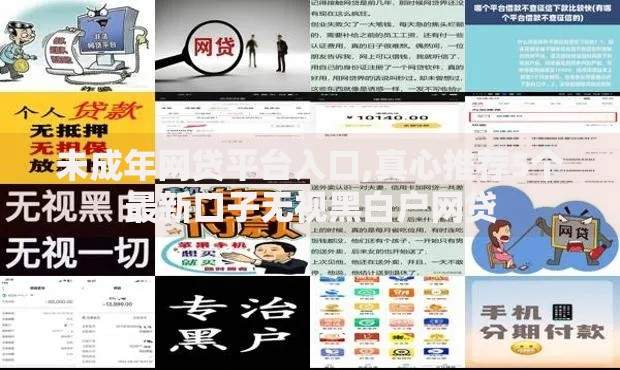 未成年网贷平台入口,真心推荐5个最新口子无视黑白户网贷