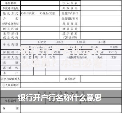 银行开户名称是什么意思？小白必看的账户命名规则解析