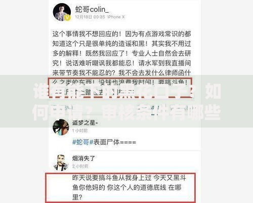 谁有能下的黑花口子？如何申请？审核条件有哪些？