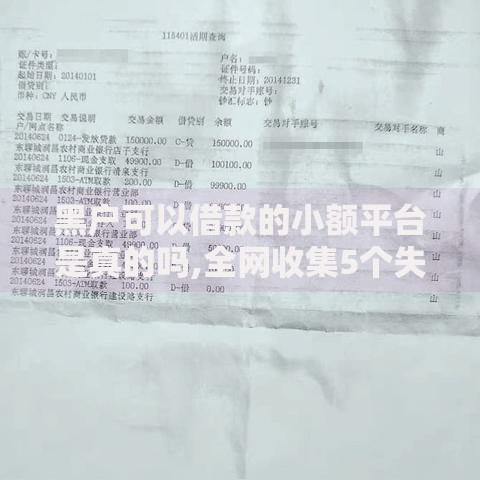 黑户可以借款的小额平台是真的吗,全网收集5个失信被执行人可以贷款的平台