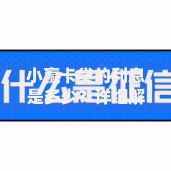 小赢卡贷的利息是多少？详细解析与省钱技巧