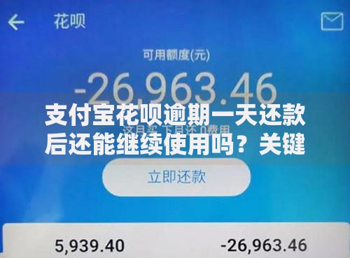 支付宝花呗逾期一天还款后还能继续使用吗？关键细节必看