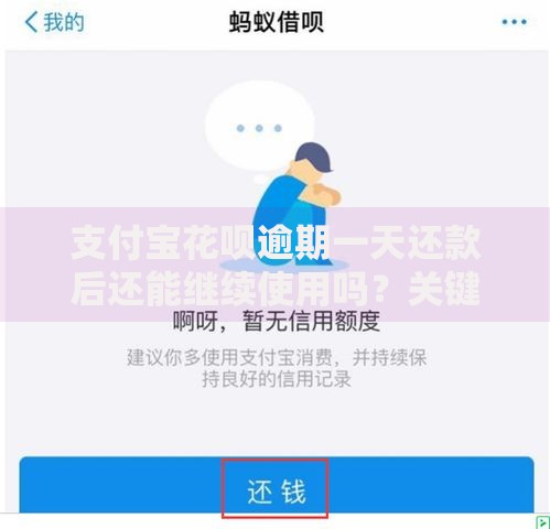 支付宝花呗逾期一天还款后还能继续使用吗？关键细节必看