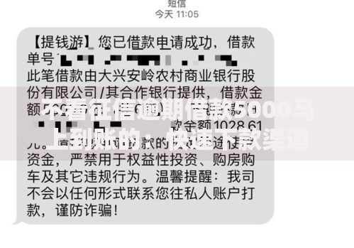 不看征信逾期借款5000马上到账的：快速下款渠道解析
