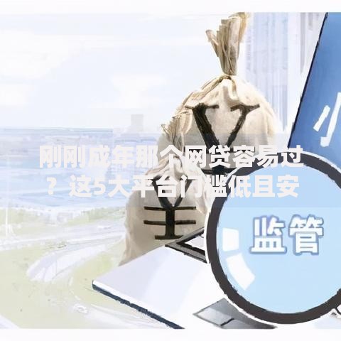 刚刚成年那个网贷容易过？这5大平台门槛低且安全可靠