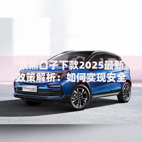 双黑口子下款2025最新政策解析：如何实现安全借贷？