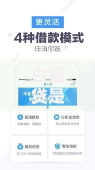 白猫贷是不是黑网贷,精心分析5款通过率高的贷款平台