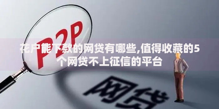 花户能下款的网贷有哪些,值得收藏的5个网贷不上征信的平台