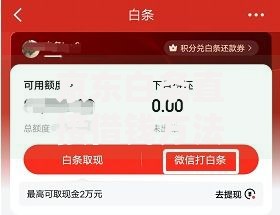 京东白条直接借钱方法,隆重介绍5个征信有问题平台可以贷款