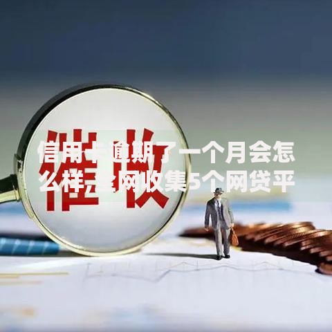 信用卡逾期了一个月会怎么样,全网收集5个网贷平台都