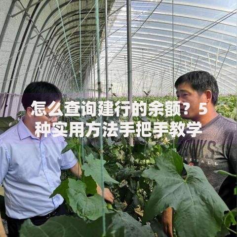怎么查询建行的余额？5种实用方法手把手教学