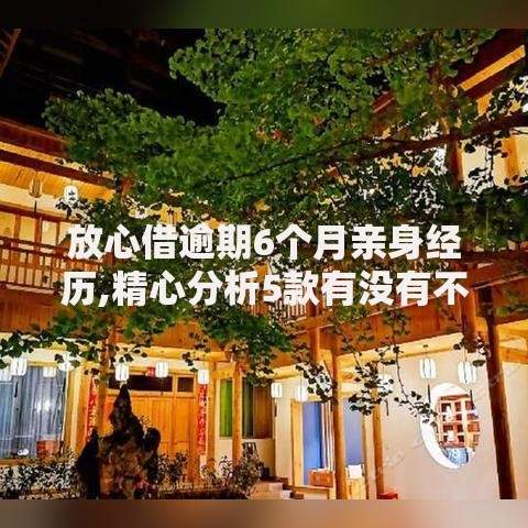 放心借逾期6个月亲身经历,精心分析5款有没有不查征信的贷款平台