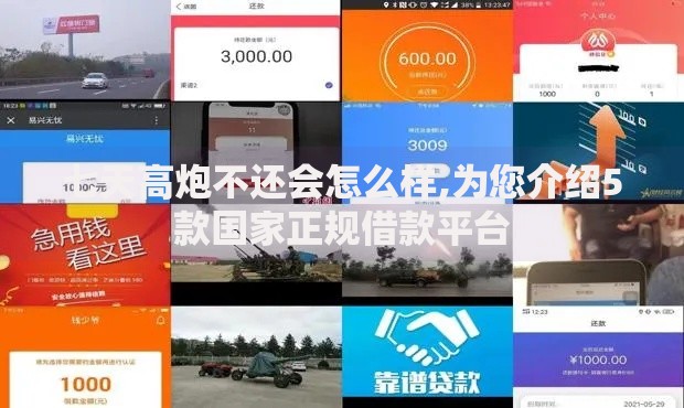 七天高炮不还会怎么样,为您介绍5款国家正规借款平台