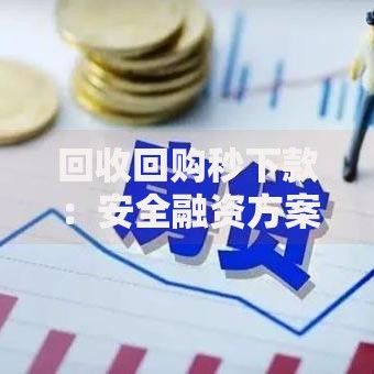 回收回购秒下款：安全融资方案深度解析