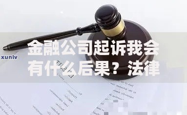 金融公司起诉我会有什么后果？法律后果与应对措施解析