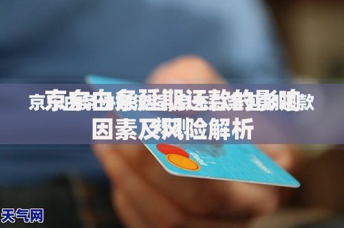 京东白条延期还款的影响因素及风险解析