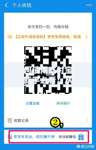 如何使用支付宝付款新手必看！从开通到扫码全流程拆解