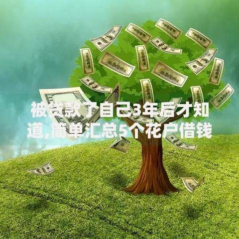被贷款了自己3年后才知道,简单汇总5个花户借钱的平台100%能借到