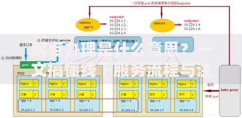 网点办理是什么意思？一文搞懂线下服务流程与注意事项