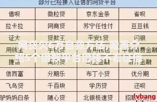网贷欠6万自救方法,隆重介绍5个借款平台借钱不看征信