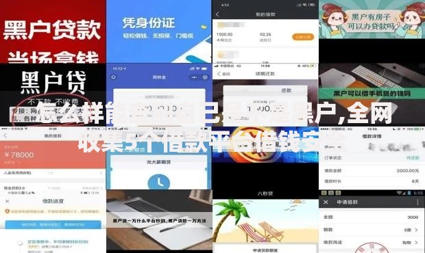 怎么样能查到自己是不是黑户,全网收集5个借款平台借钱安全