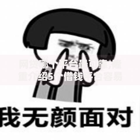 网贷哪个平台最可靠,隆重介绍5个借钱平台容易通过的