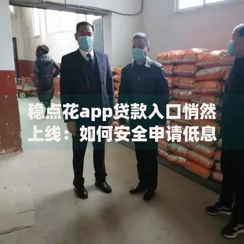 稳点花app贷款入口悄然上线：如何安全申请低息贷款？