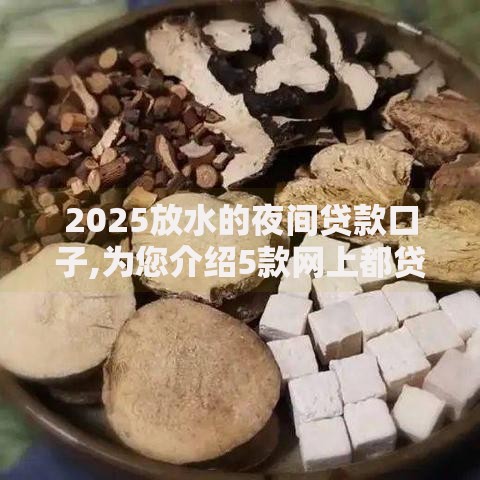 2025放水的夜间贷款口子,为您介绍5款网上都贷款平台