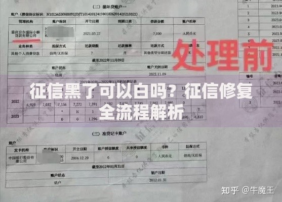 征信黑了可以白吗？征信修复全流程解析