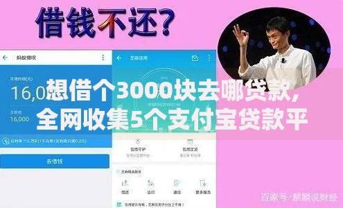 想借个3000块去哪贷款,全网收集5个支付宝贷款平台